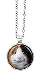 Generisch Meerschweinchen - Motiv Cabochon Kette 60 cm silberfarben