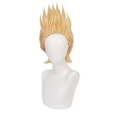 HIROAKIYA Lemillion Mirio Togata Wig, MHA My Hero Academia Lemillion...