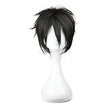 COSPLAZA Perücke Kirito kirigaya kazuto Sword Art Online Schwarz...