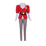 Fortunehouse She-Ra and The Princesses of Power Cosplay Outfits...