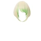 prettycos Erwachsene Anime Cosplay Haar Mad Burnish Lio Fotia Perücke...
