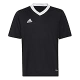 adidas Unisex Kinder Ent22 Jsy Y T Shirt, Schwarz, 13-14 Jahre EU