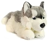 Zaloop Husky liegend Plüschtier Kuscheltier Stofftier Plüschhund 12
