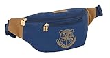 safta 812293446 Bauchtasche Harry Potter Magical 23 x 12 x 9 cm, bunt