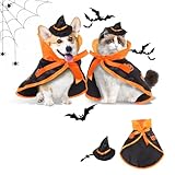 Lollanda Halloween Kostüm Hund Katzen, Halloween Kostüm Umhang für...