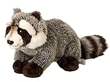 Uni-Toys - Waschbär - 23 cm (Länge) - Plüsch-Bär, Waldtier -...