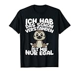 Ich Hab Das Schon Verstanden Ist Mir Nur Egal Lustiger Spruch T-Shirt