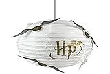 Harry 91806 Potter Logo Papier Lampe mit Snitches 30Cm