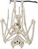 Tbrand Horrible Halloween Fledermaus Skelett Simulation Fledermaus...