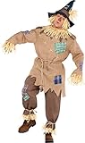 amscan Scarecrow Herren-Kostüm für Halloween, Märchenbuchwoche,...