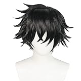 Bokerom Anime The Rising of The Shield Hero Cosplay-Perücke, Naofumi...