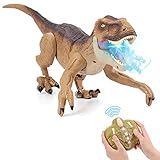 NEXBOX Ferngesteuerter Dino Geschenk für Kinder - RC Dinosaurier...