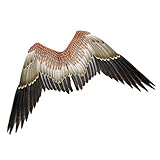 STOBOK Adlerflügel Vogel Kostüm Flügel Karneval Performance...