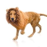 Löwenmähne Perücke für Hundekostüm mit Ohren Haustier Verstellbar...