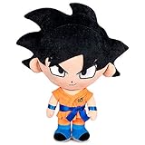Son Goku Black Dragon Ball Super 25 cm
