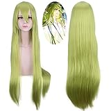 Fate/Grand Order Cosplay Lancer Enkidu 100cm Green Long Synthetic Hair...
