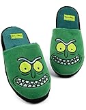 Rick und Morty Mens Pantoffeln Erwachsene Pickle Rick Green House...