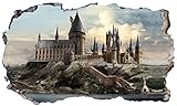 Chicbanners Harry Potter Hogwarts Castle 3D Magic Window V600...