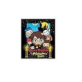 Harry Potter Premium Decke aus Coralina, 150 x 120 cm