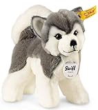 Steiff Bernie Husky - 17 cm - Plüschhund stehend - Hunde Kuscheltier...