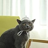 Lovelyshop Pet Series Kristall Strass Hund Katze Tiara Krone für...