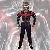 FAYKES Kinder Jungen Antman Muskel Kostüm Superheld Pretend Body...