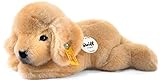 Steiff 280160 22 liegend Kleiner Freund Golden Retriever-Welpe Lumpi,...