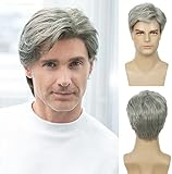 Herrenperücke kurz silber grau Perücke synthetisch hitzebeständig...