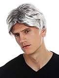 WIG ME UP - 31862-P1T615 Perücke Karneval Halloween Herren kurz...