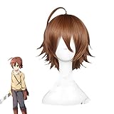 Akame Ga Kill! Tatsumi Cosplay Perücke Hochwertige Hitze Kurz...