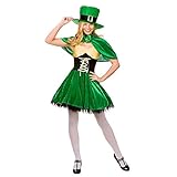 Lucky Leprechaun Adults Fancy Dress Ladies Outfit Costume