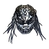 Predator Motorradhelm Mit PC+ABS-Material Helm ECE/DOT Zertifizierter...