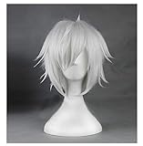 COSPLAZA Perücke Cosplay Wig Is It Wrong to Try to Pick Up Girls in a...