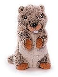 Inware 7588 - Kuscheltier Murmeltier Marmi, 16 cm, beige meliert,...