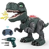 Ferngesteuerter Dinosaurier Spielzeug ab 3 4 5 6 7 8 Jahre Junge DIY...