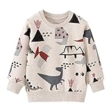 EULLA Kinder Jungen Sweatshirt Pullover Activewear Langarm Baumwolle...