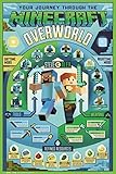 GB eye Ltd FP4615 Poster, Unlaminierten, MINECRAFT OVERWORLD BIOME,...