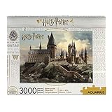 Harry Potter 68510 Hogwarts Harry Puzzle, Mehrfarbig