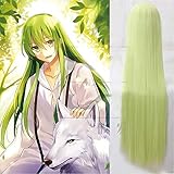 Fate/Grand Order Cosplay Lancer Enkidu 100cm Green Long Synthetic Hair...