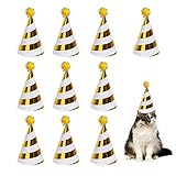 10Pcs Geburtstagsfeier Dekoration HüTe Geburtstag Party Baby Dusche...