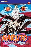 Naruto 47 (47)
