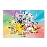 Grupo Erik Anime Poster - Poster Pokemon Gotta Catch'them Evolutions...
