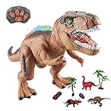 WISHTIME Fernbedienung Dinosaurier Spielzeug für Kinder, RC...