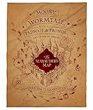 kuschelige Flauschdecke Fleecedecke Harry Potter · 150 x 200 cm ·...