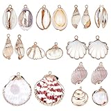 Sunnyclue 1 Box 20pcs 10 Stile Natürliche Weiße Kaurimuscheln...