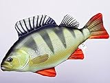 Gaby Kissen Fisch der Barsch 50 cm Kuschelfische Kuscheltie Kopfkissen...