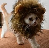 Bello Luna Süße Löwenkostüm, Löwenmähne mit Ohren für Katzen,...
