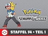 Keine Wahl, aber dreifache Qual