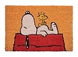 Grupo Erik Kokosmatte Fußmatte Peanuts Snoopy - Schmutzfangmatte...