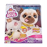Pets Alive 9521 Poppy The Booty Shakin Pug, Plüsch-Mops, wackelt mit...